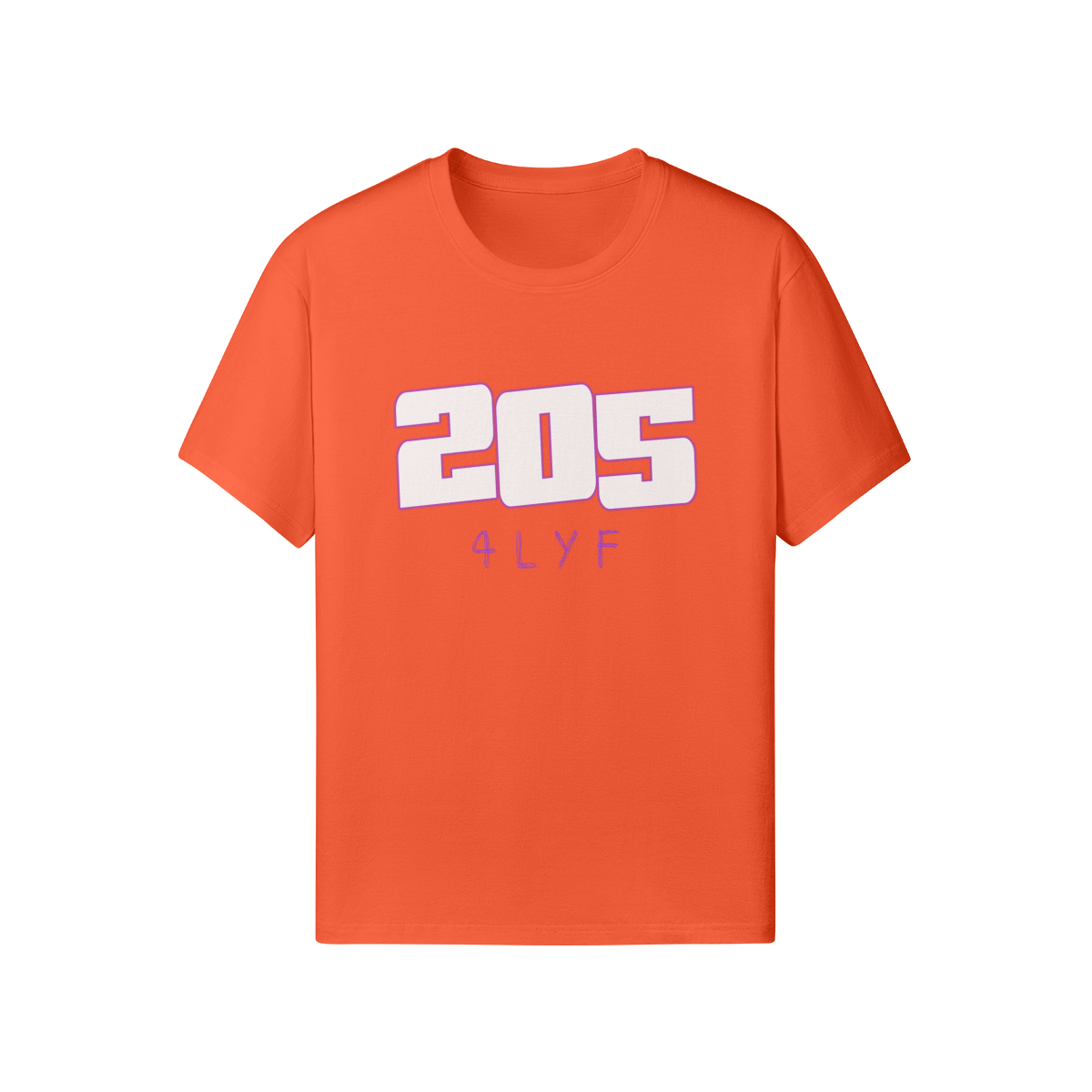 205 4LYF - Image 9